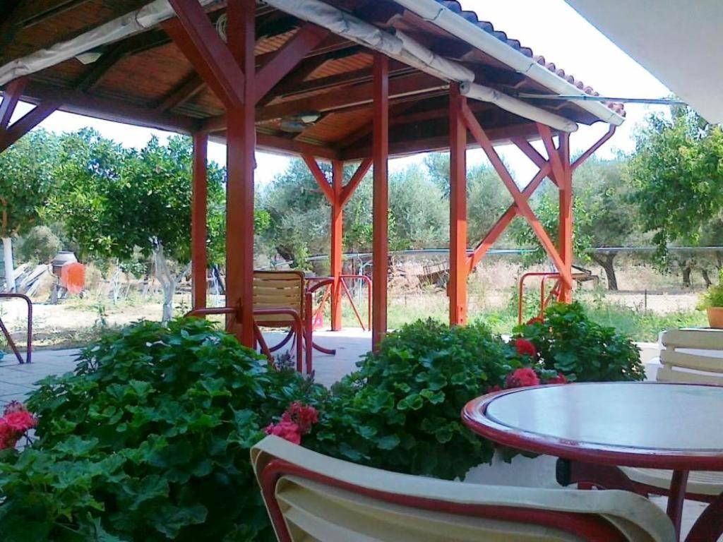 Pantelatos Studios Sami (Kefalonia) Exterior foto